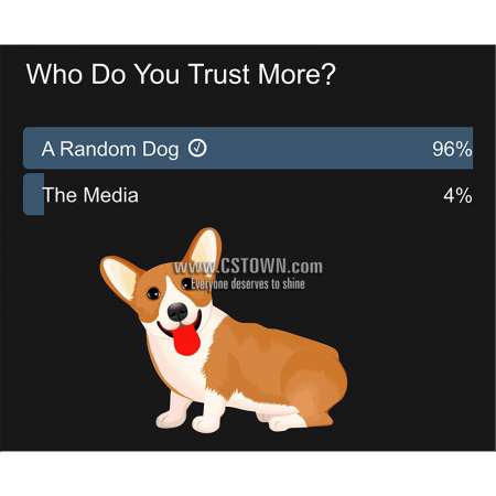 Who Do You Trust More &  Welsh Corgi Printable PU Transfer Design